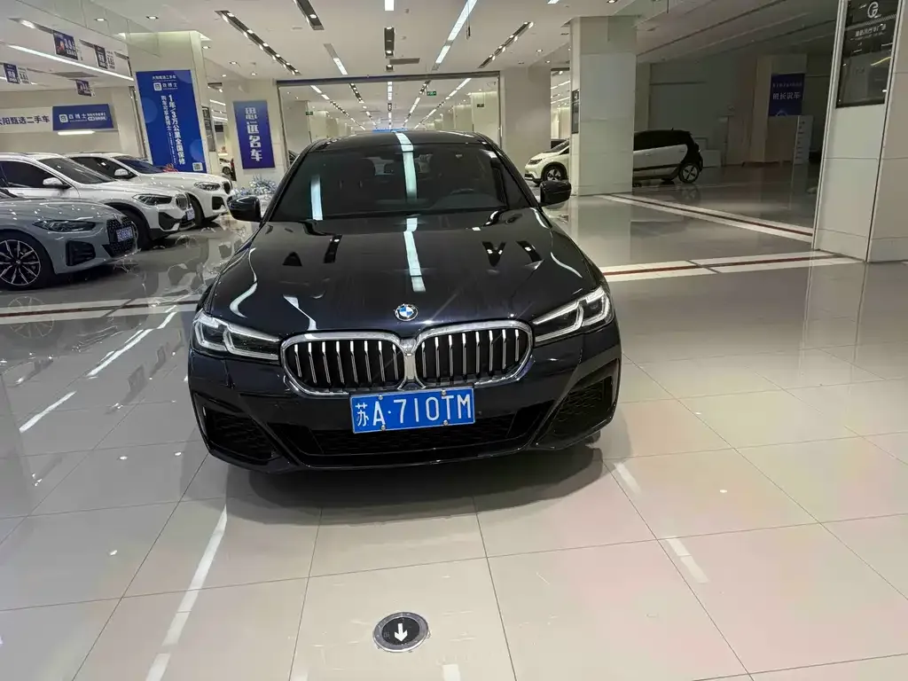 BMW 5 Series 2024 из CN, фото 6