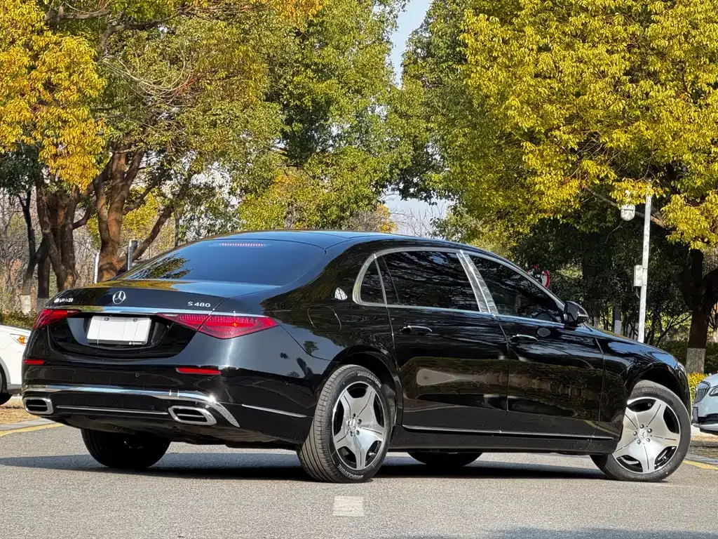 Mercedes-Benz S-Class 2022 из CN, фото 6