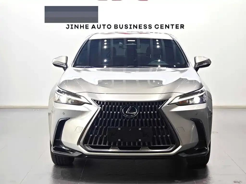 Lexus NX 2022 из CN, фото 5