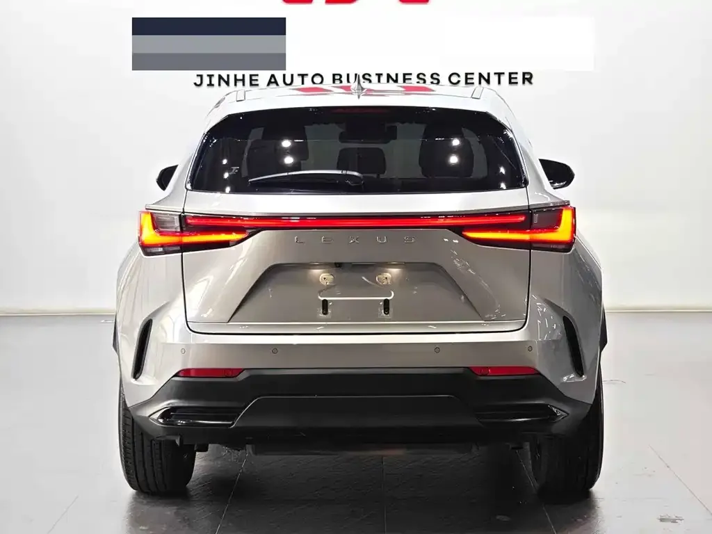 Lexus NX 2022 из CN, фото 7