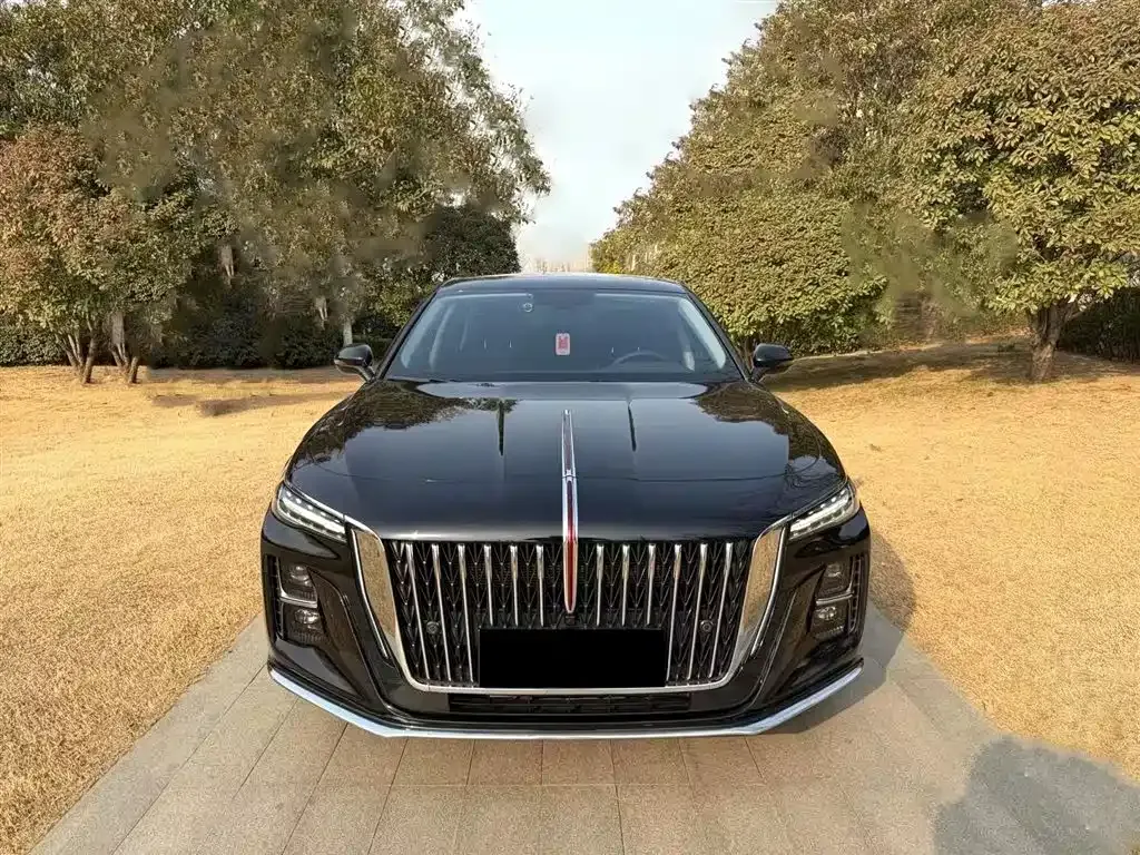 Hongqi H5 2023 из CN, фото 10