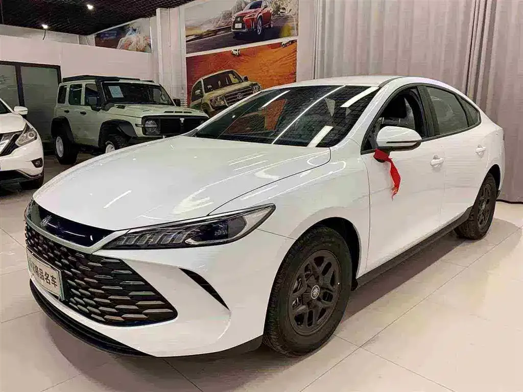BYD Qin PLUS 2025 из CN, фото 1