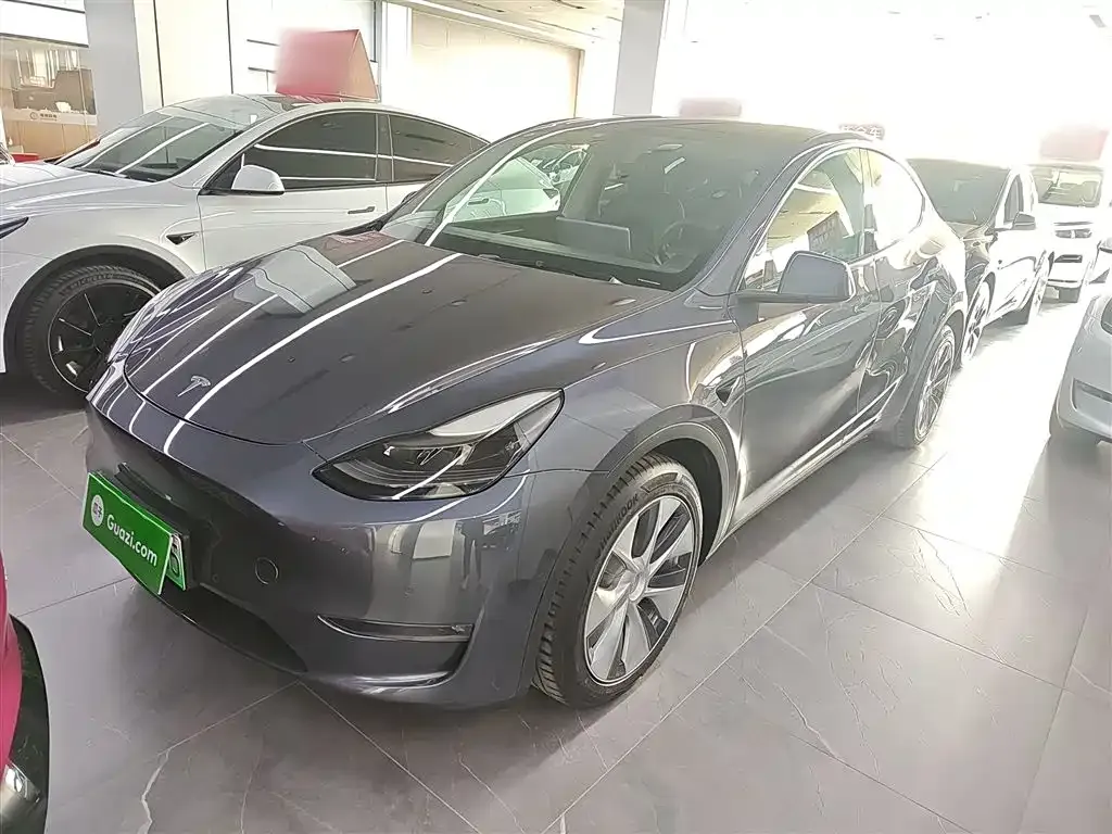 Tesla Model Y 2021 из CN, фото 1