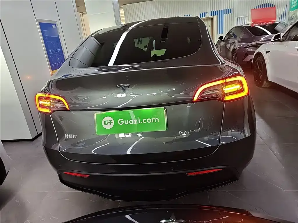 Tesla Model Y 2021 из CN, фото 4