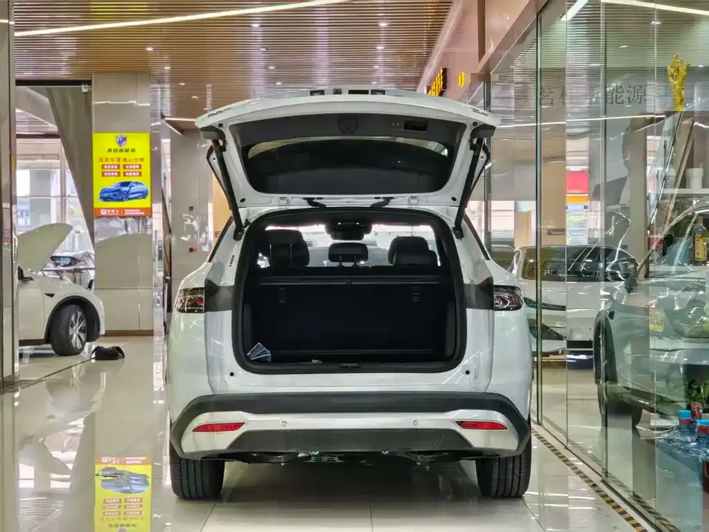 BYD L DM-i 2025 из CN, фото 7