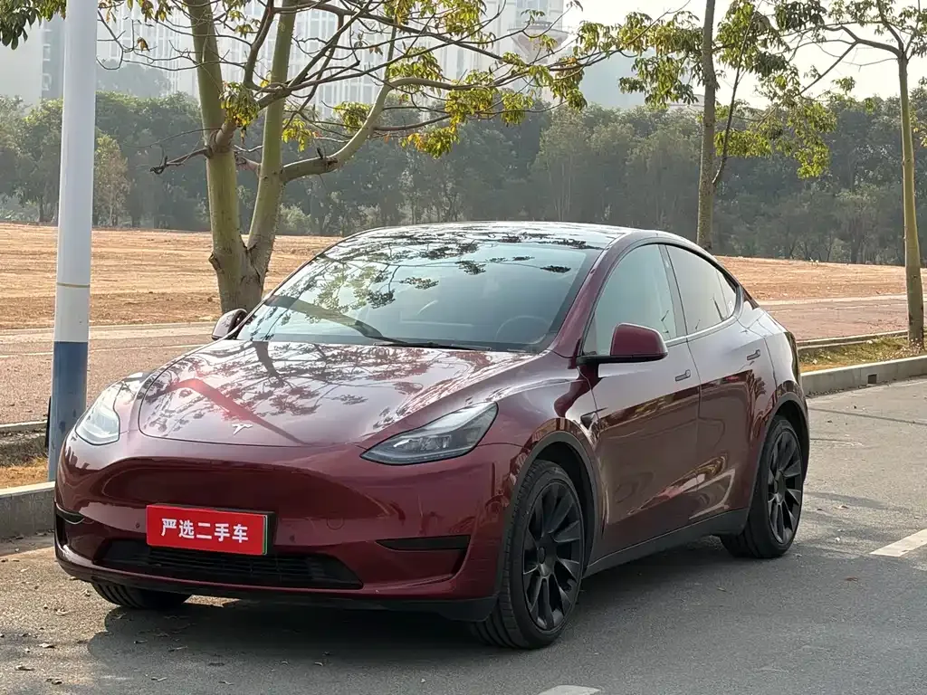 Tesla Model Y 2022 из CN, фото 1