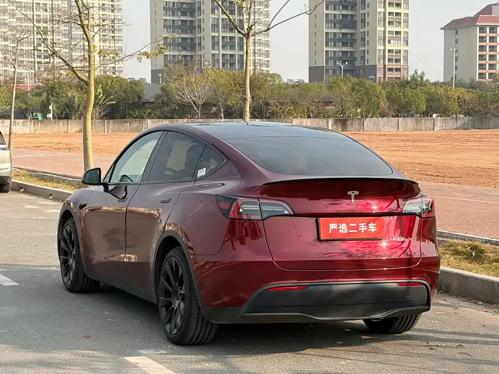Tesla Model Y 2022 из CN, фото 3