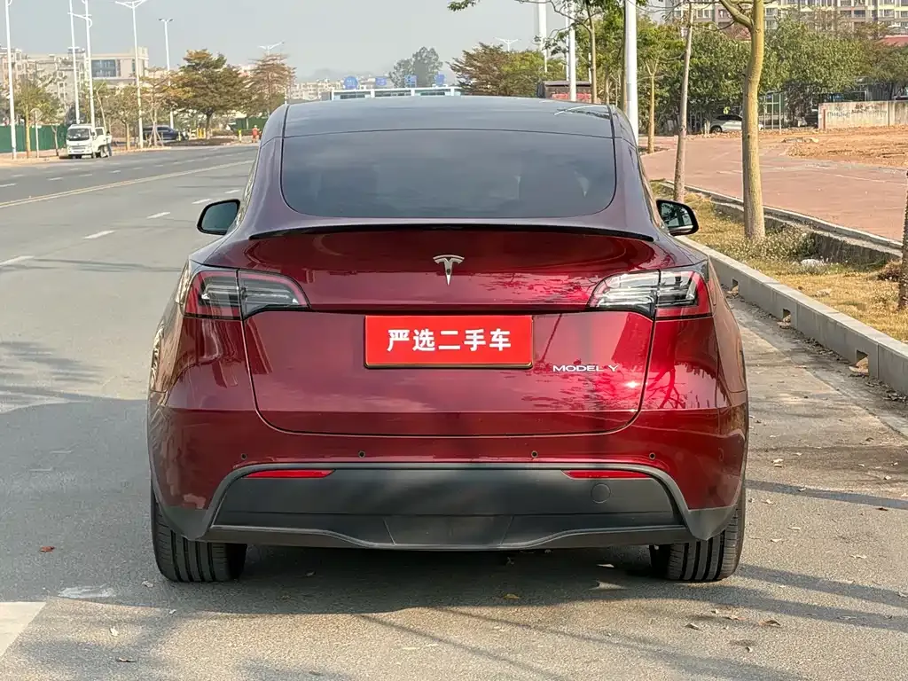 Tesla Model Y 2022 из CN, фото 9