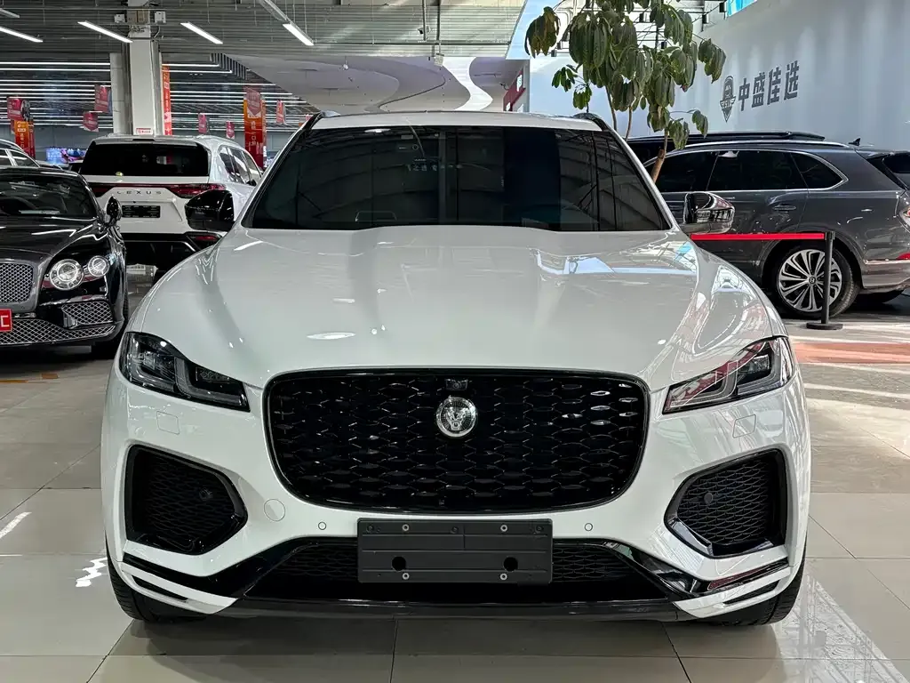 Jaguar F-PACE 2025 из CN, фото 3