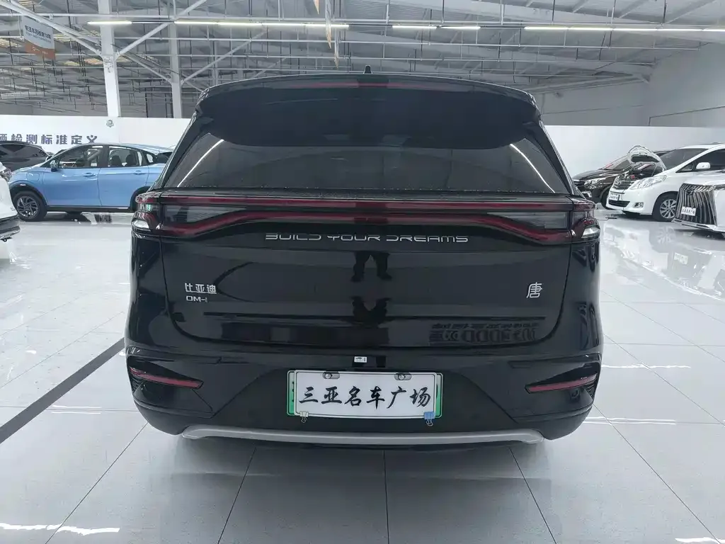 BYD Tang New Energy 2022 из CN, фото 3