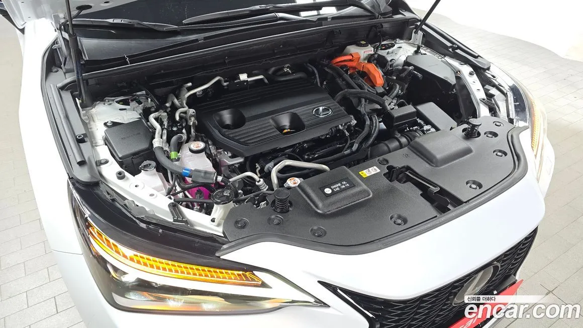 Lexus NX 2025 из KR, фото 5