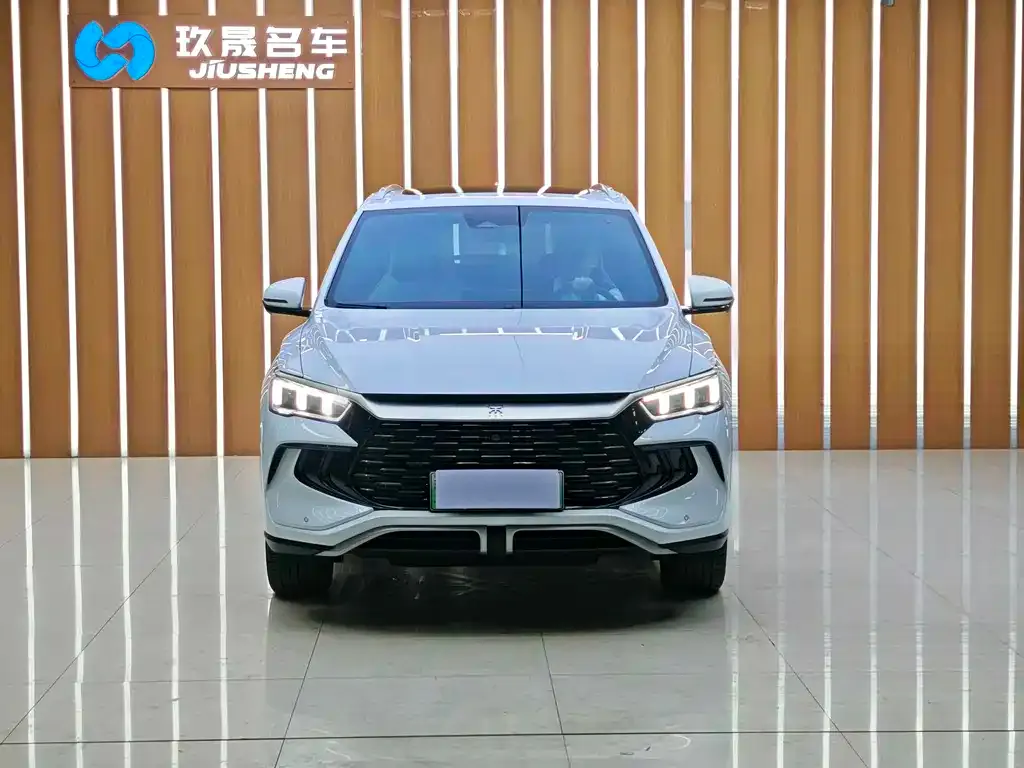 BYD Pro New Energy 2023 из CN, фото 4