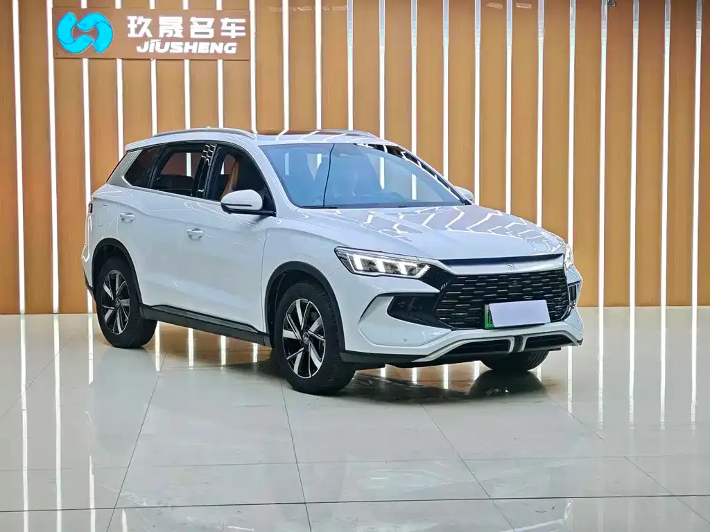 BYD Pro New Energy 2023 из CN, фото 5