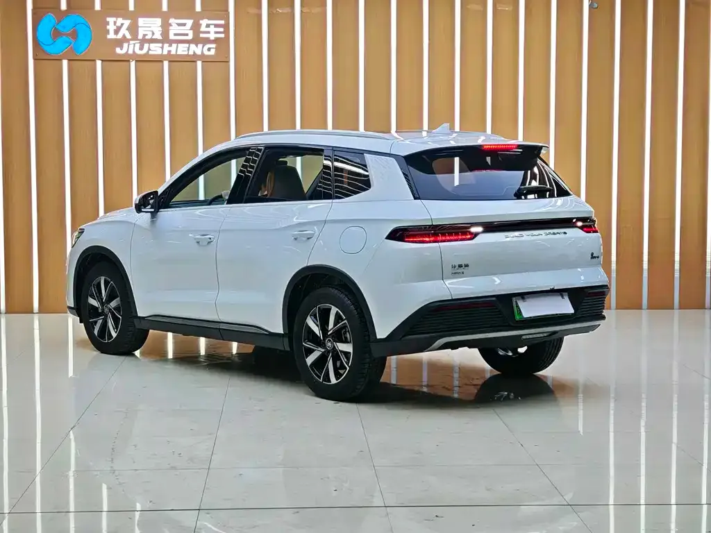 BYD Pro New Energy 2023 из CN, фото 6