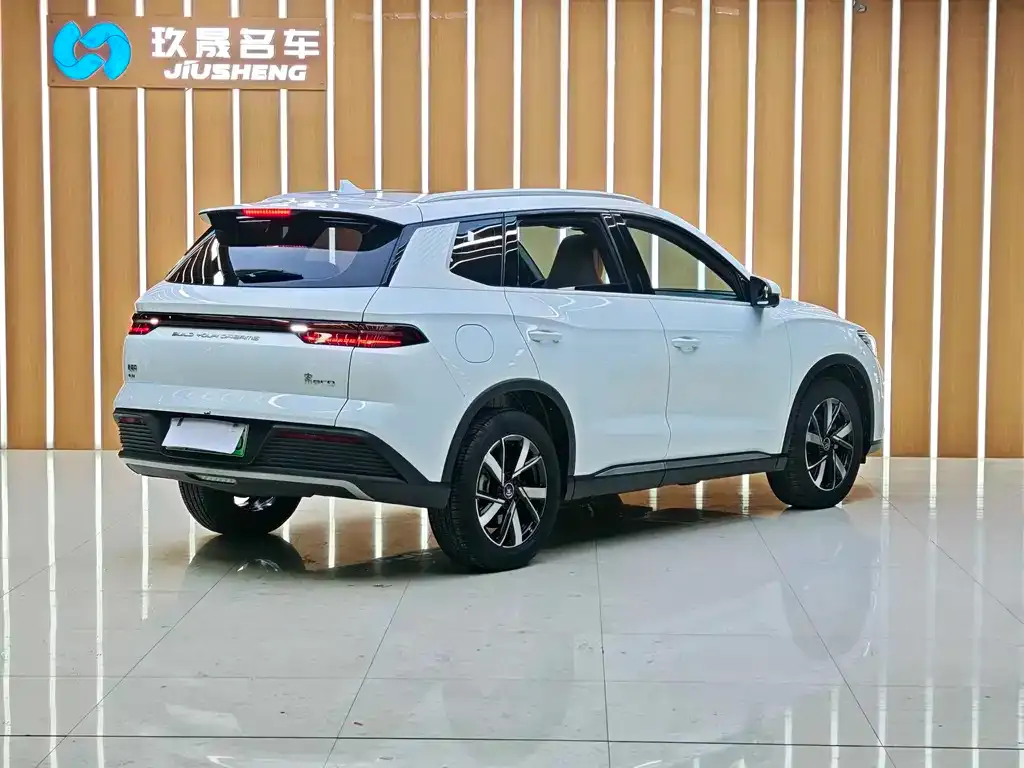 BYD Pro New Energy 2023 из CN, фото 3