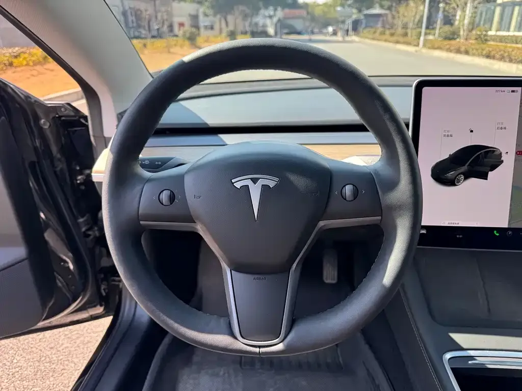Tesla Model 3 2021 из CN, фото 7