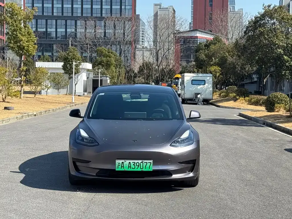Tesla Model 3 2021 из CN, фото 9