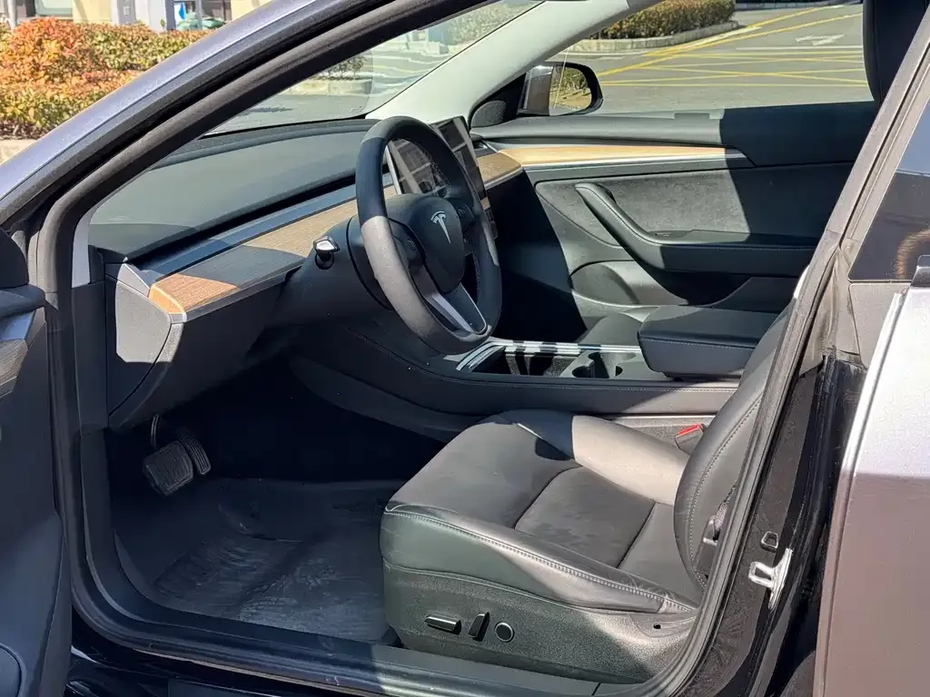 Tesla Model 3 2021 из CN, фото 3