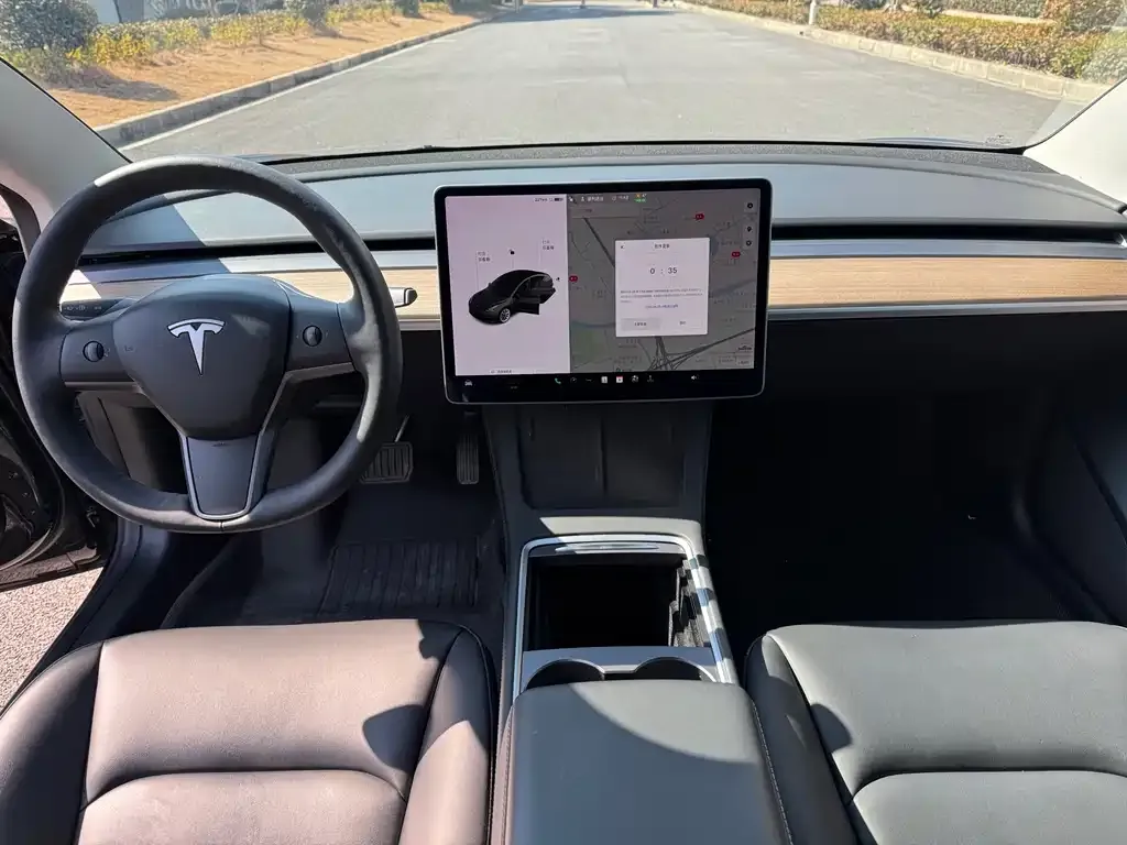 Tesla Model 3 2021 из CN, фото 5