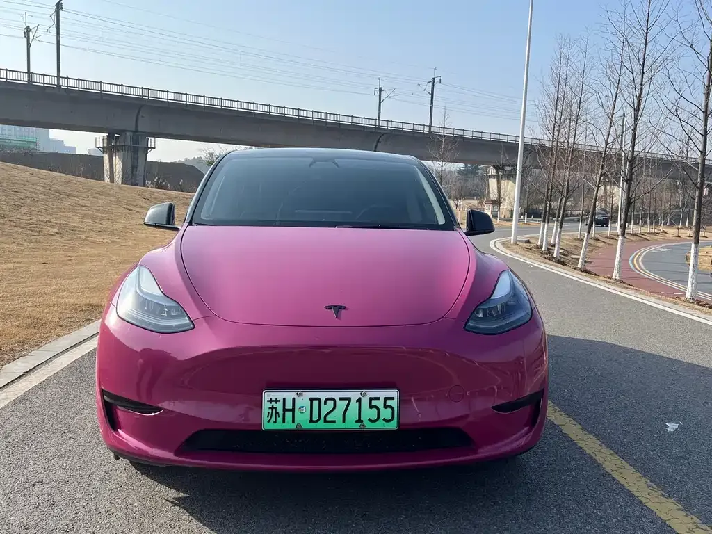 Tesla Model Y 2022 из CN, фото 1