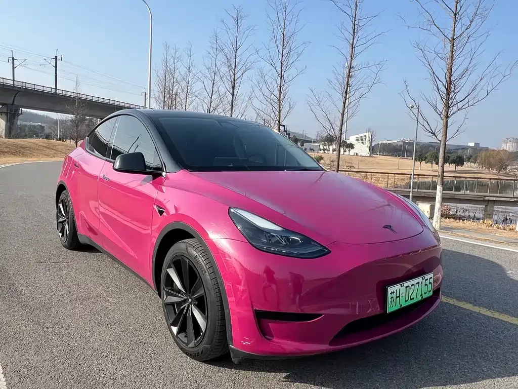 Tesla Model Y 2022 из CN, фото 5