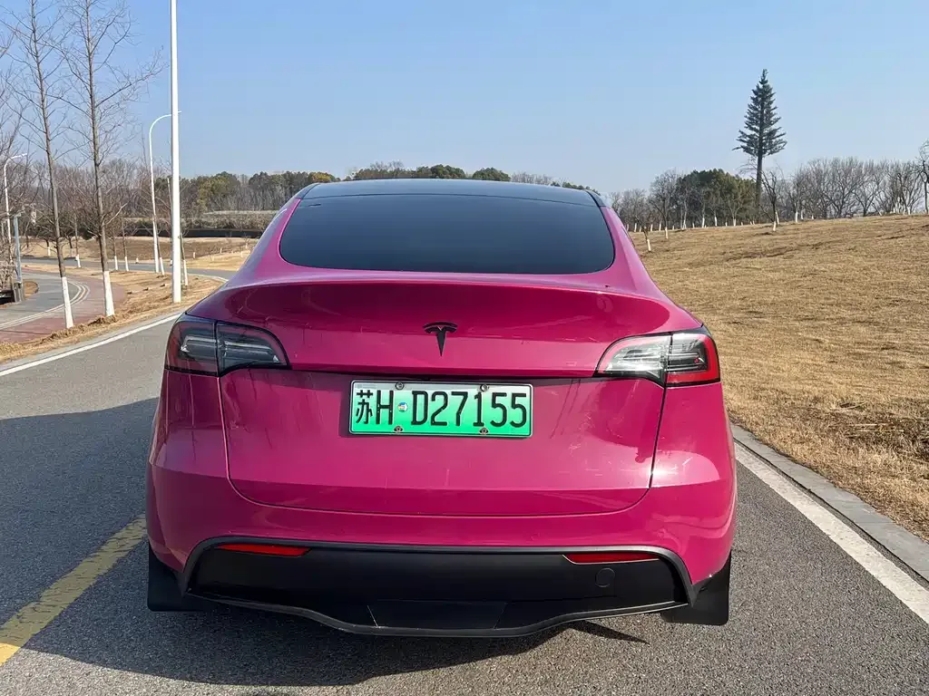 Tesla Model Y 2022 из CN, фото 10