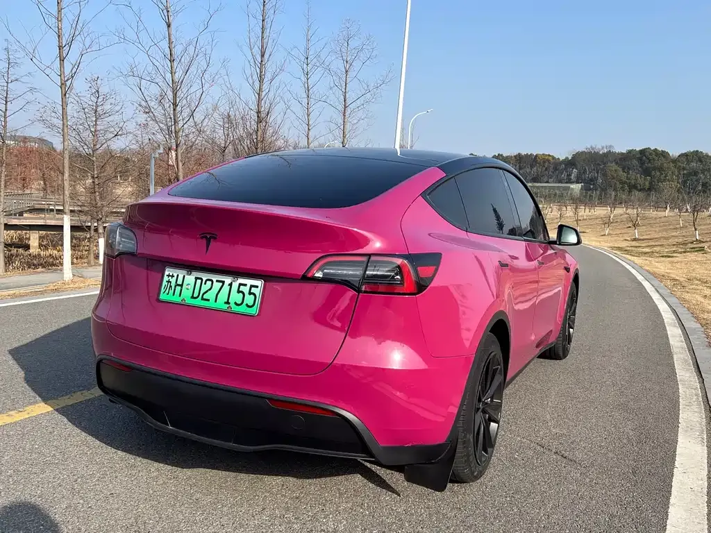 Tesla Model Y 2022 из CN, фото 9