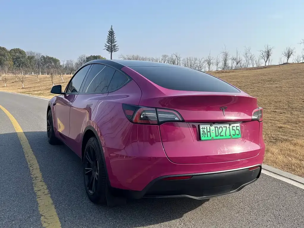 Tesla Model Y 2022 из CN, фото 3