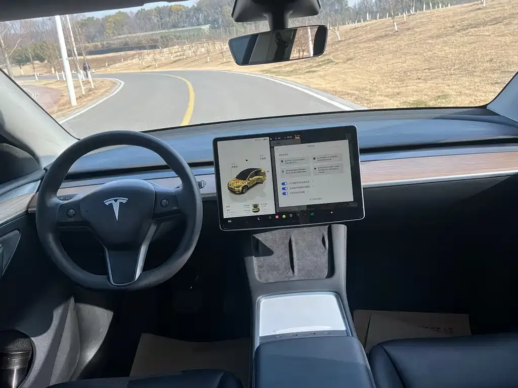 Tesla Model Y 2022 из CN, фото 7