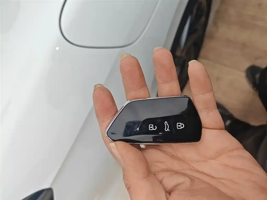 Volkswagen Lamando 2024 из CN, фото 2