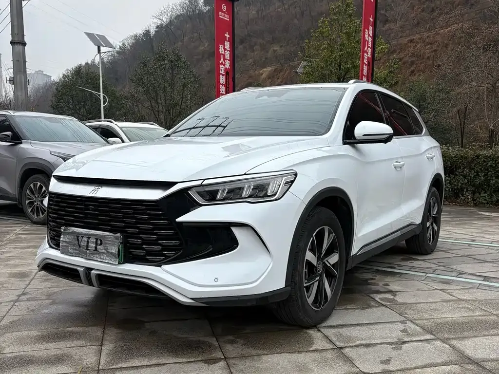 BYD Pro New Energy 2024 из CN, фото 1
