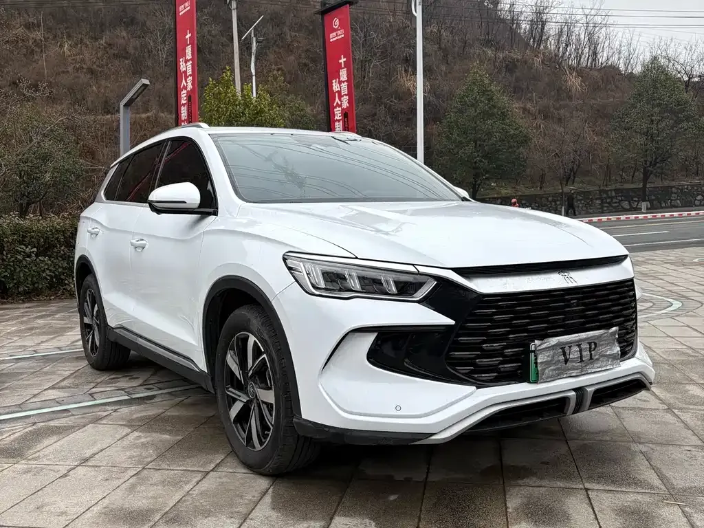 BYD Pro New Energy 2024 из CN, фото 10