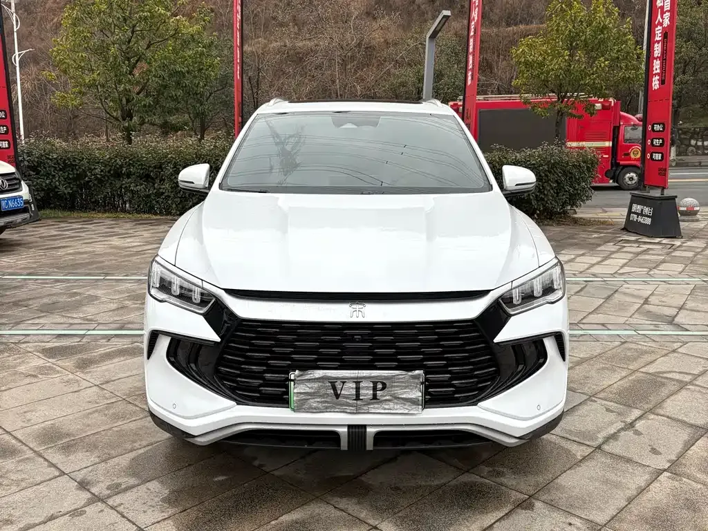 BYD Pro New Energy 2024 из CN, фото 6