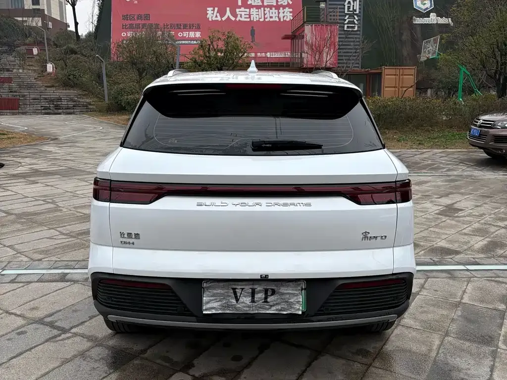 BYD Pro New Energy 2024 из CN, фото 2