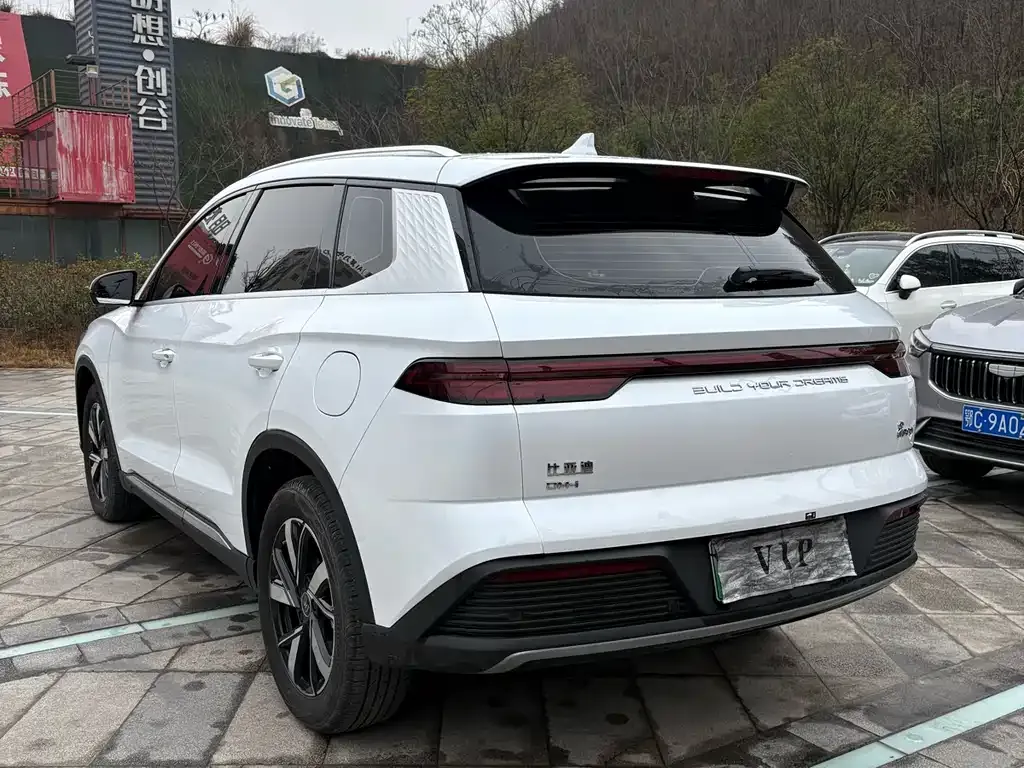 BYD Pro New Energy 2024 из CN, фото 5