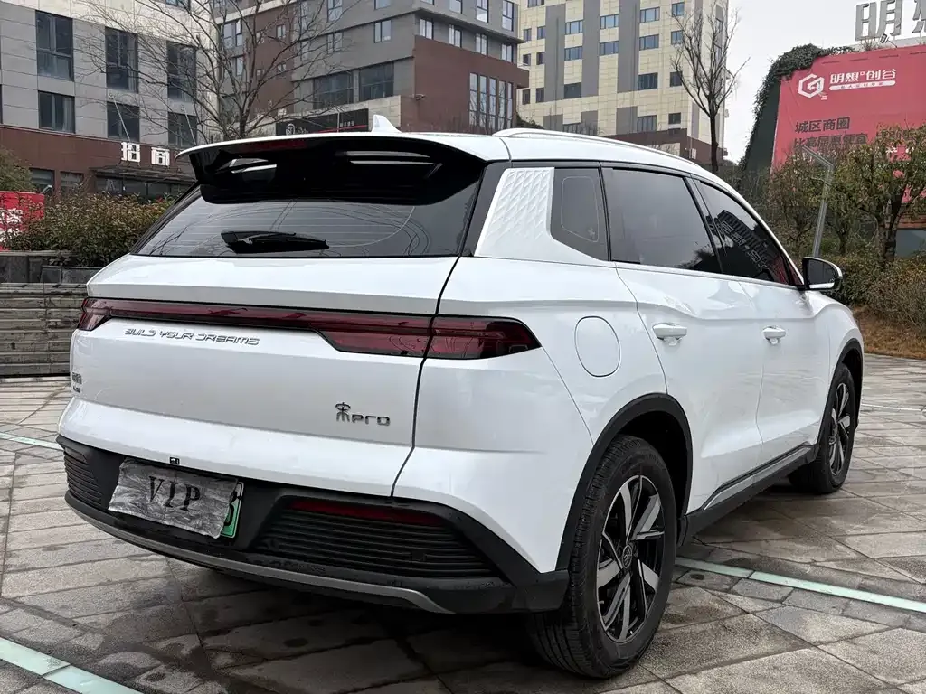 BYD Pro New Energy 2024 из CN, фото 9