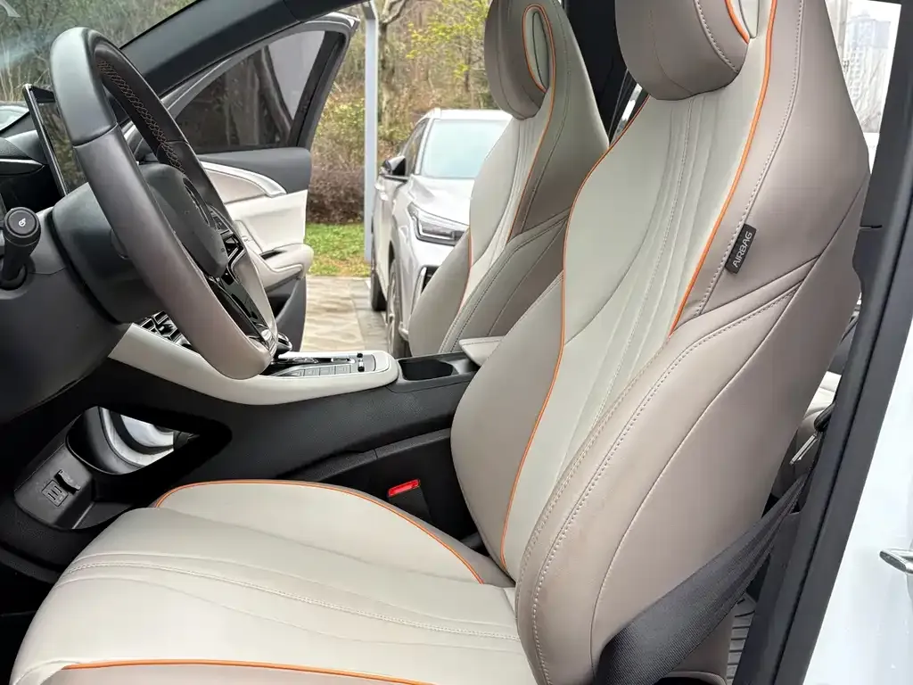 BYD Pro New Energy 2024 из CN, фото 4