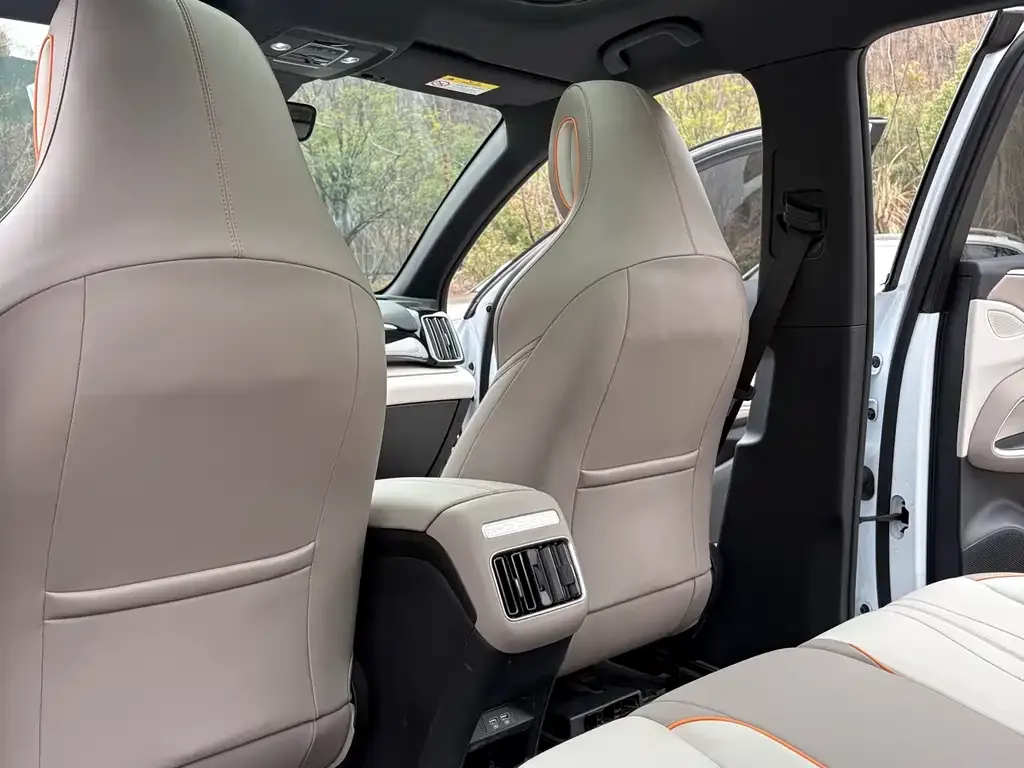 BYD Pro New Energy 2024 из CN, фото 7
