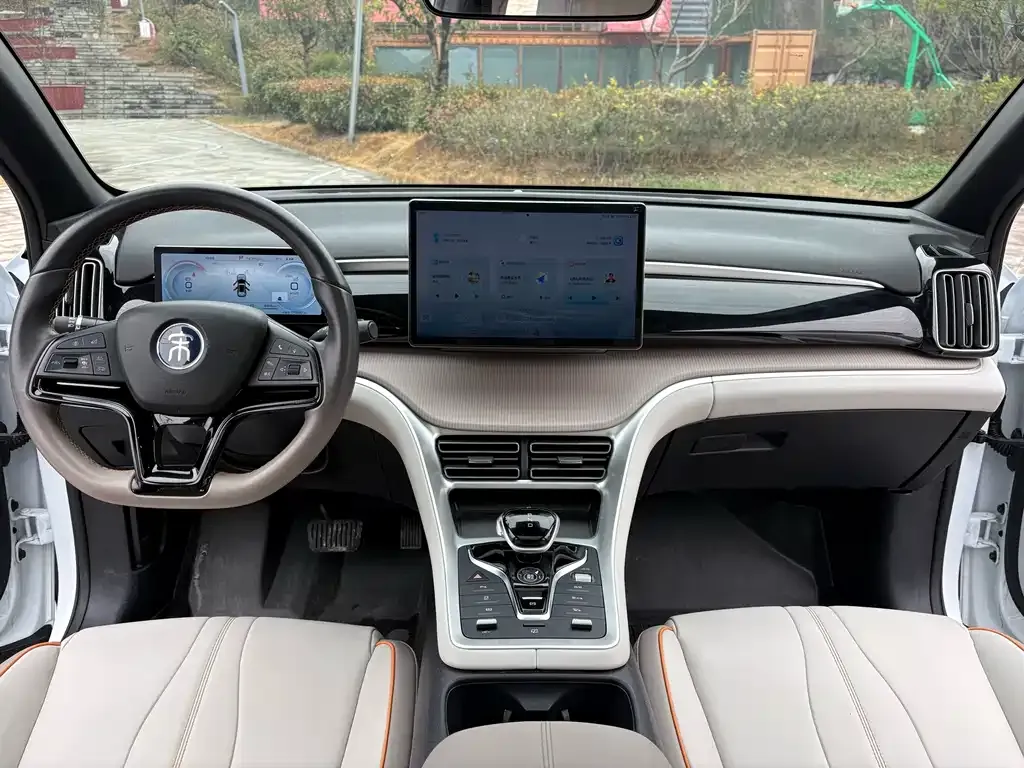 BYD Pro New Energy 2024 из CN, фото 8