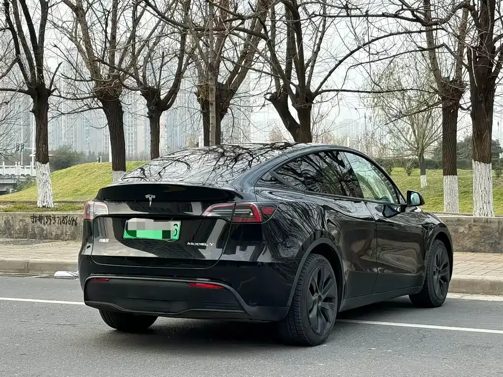 Tesla Model Y — фото 6