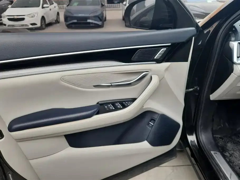 BYD PLUS New Energy 2022 из CN, фото 3
