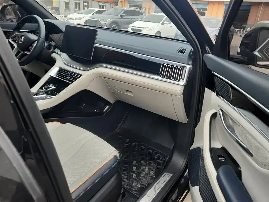 BYD PLUS New Energy 2022 из CN, фото 7