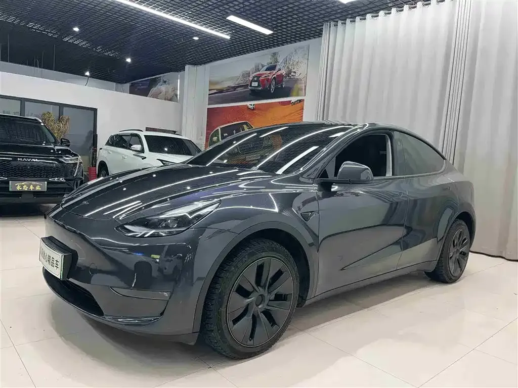 Tesla Model Y — фото 1