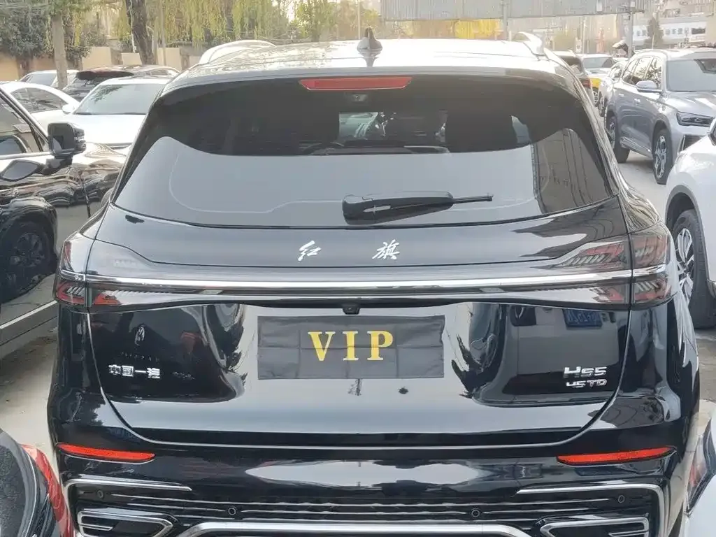 Hongqi HS5 2023 из CN, фото 9