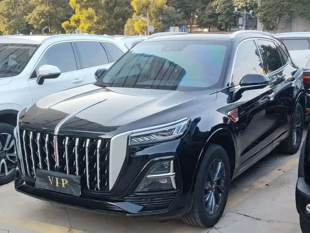 Hongqi HS5 2023 из CN, фото 10