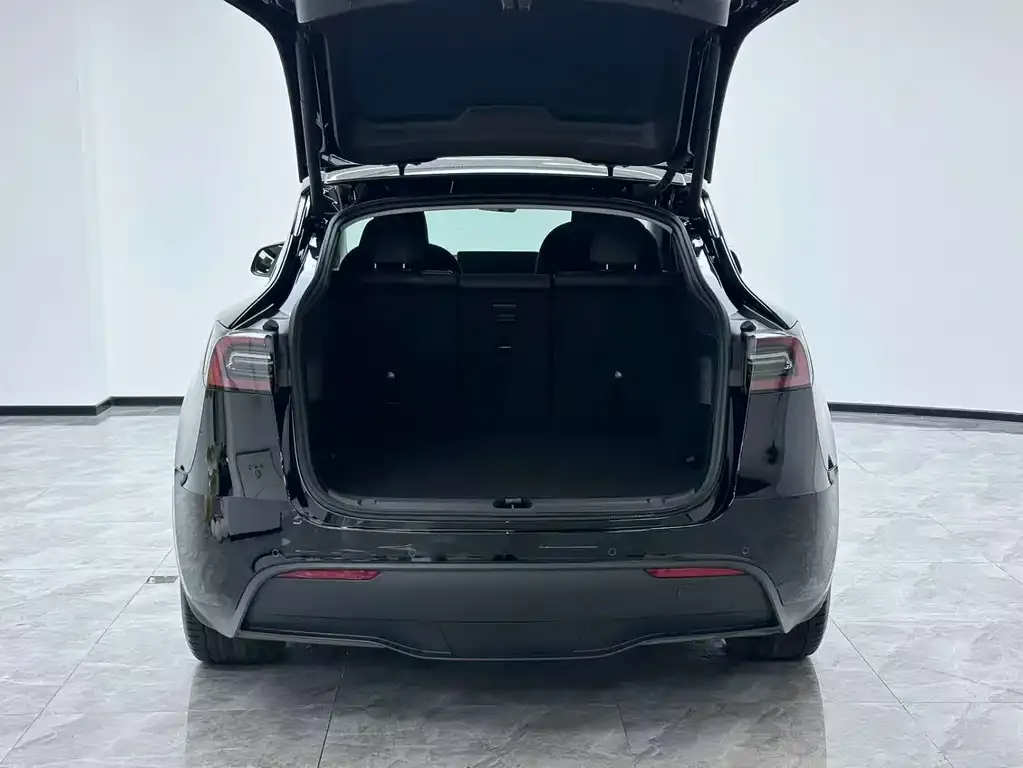 Tesla Model Y 2024 из CN, фото 2