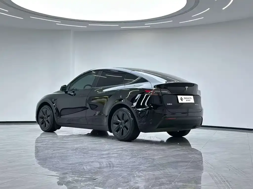 Tesla Model Y 2024 из CN, фото 7