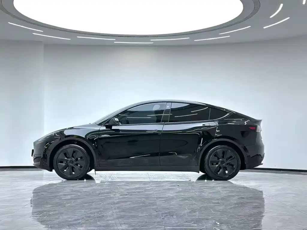 Tesla Model Y 2024 из CN, фото 5