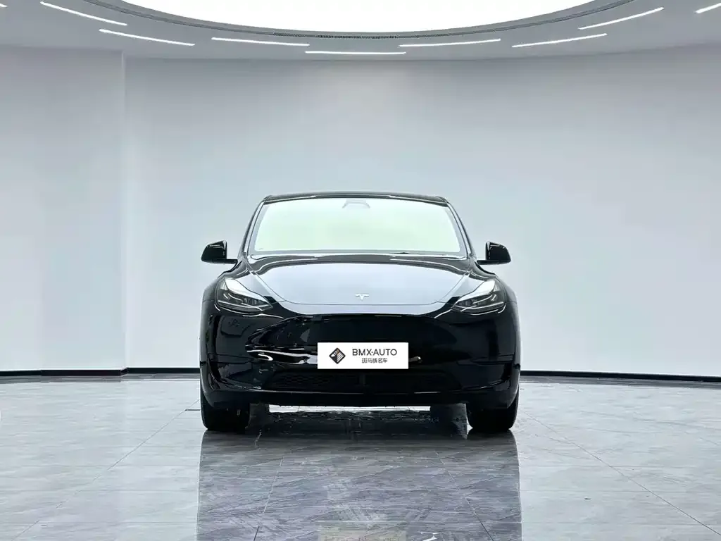 Tesla Model Y 2024 из CN, фото 6