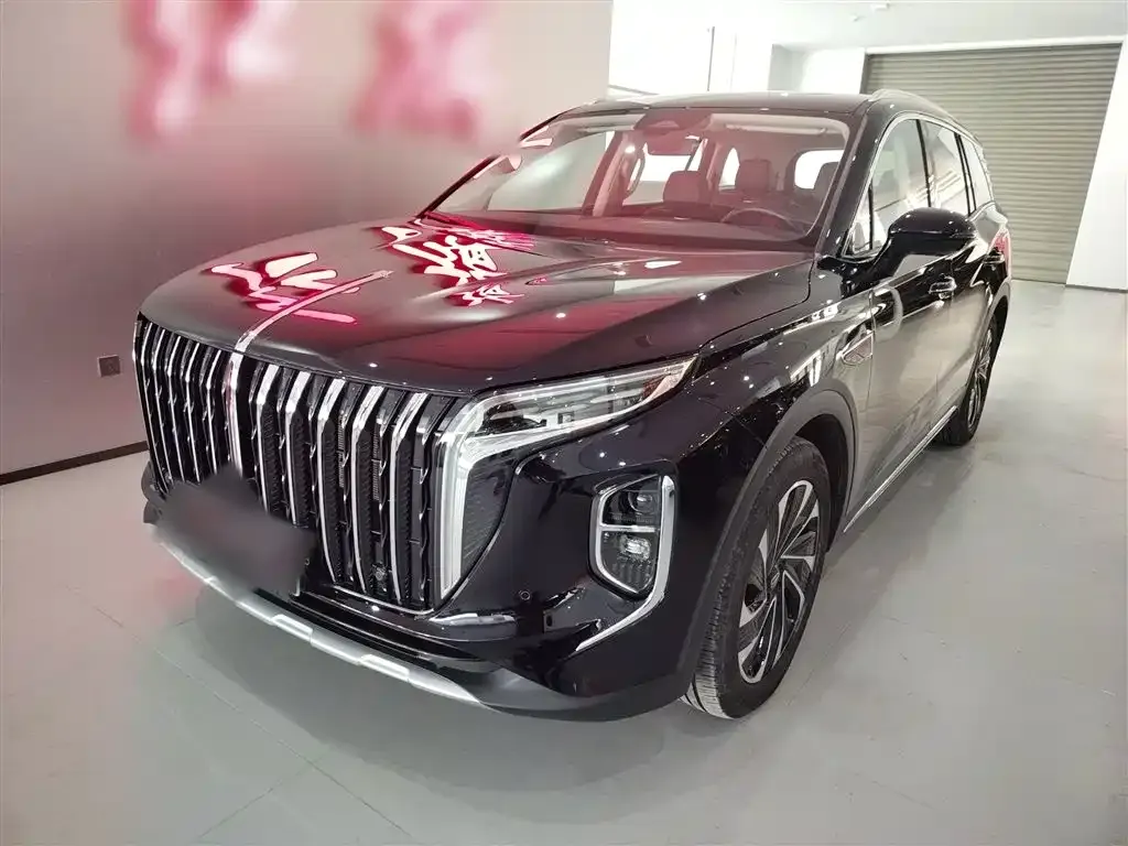 Hongqi HS7 PHEV 2024 из CN, фото 8